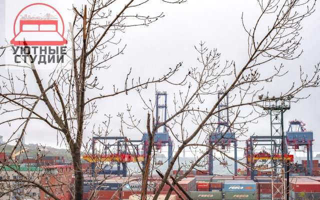 Уютная гостинка на Эгершельде во Владивостоке