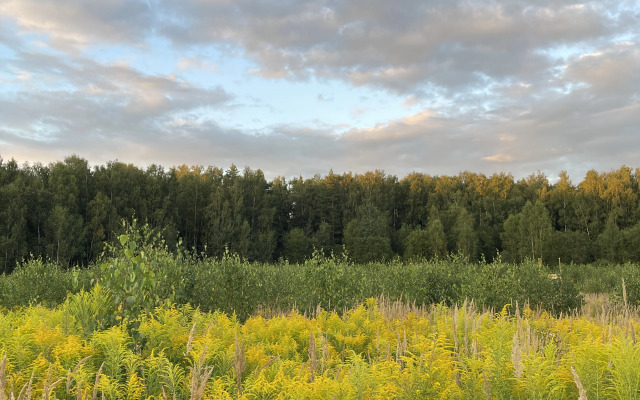 Частный Дом Без Суеты  от Sheluha House
