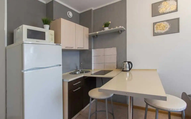 Апартаменты на Ростовской 100б (2)