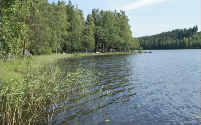 Kottedzh S Tremya Spalnyami V Enonkoski Private House
