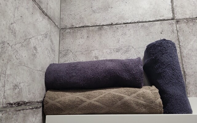 Апартаменты в Центре Загородный 41-43