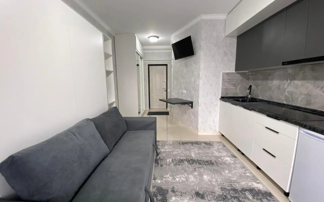 Best House Almaty Flat