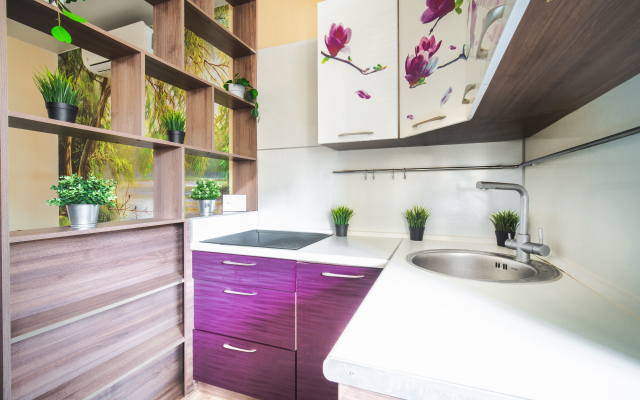 Апартаменты Восточно-Кругликовская 30