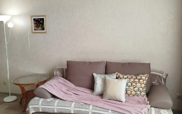 Na Levom Beregu G. Omsk Flat