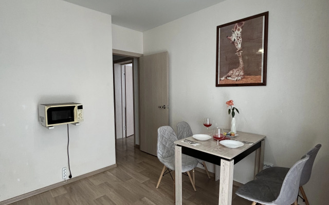 Апартаменты на проспекте Московском 209