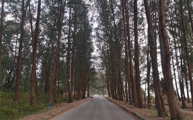 AuroraThai Apartments