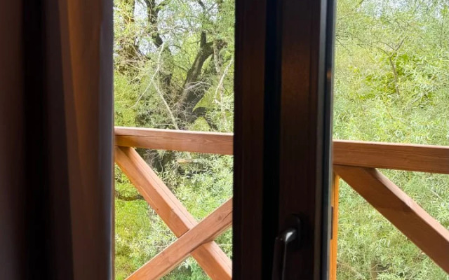 Шале Загородный дом