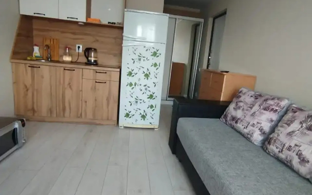 Апартаменты Уютная студия рядом с вокзалом