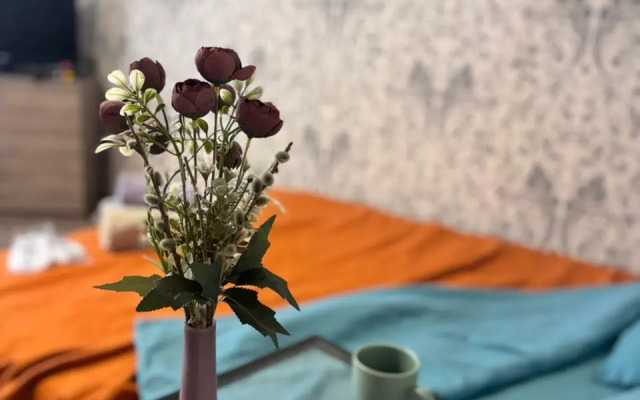 Квартира Rooms 55