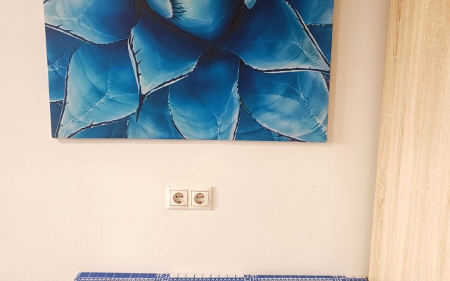 Апартаменты Studio Crocus №1 на Ильинском 2А