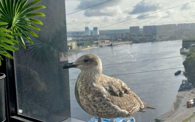 Квартира с видом на Неву