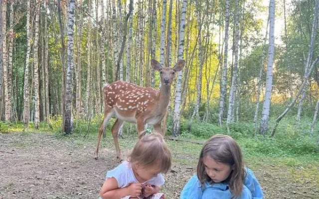 Гостевой дом Бэмби Лэнд
