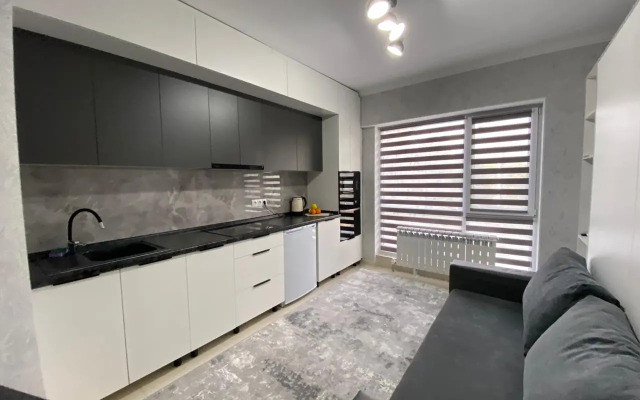 Best House Almaty Flat