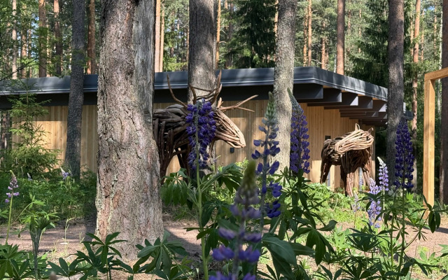 Kurort Bolshoye Borkovo Hotel