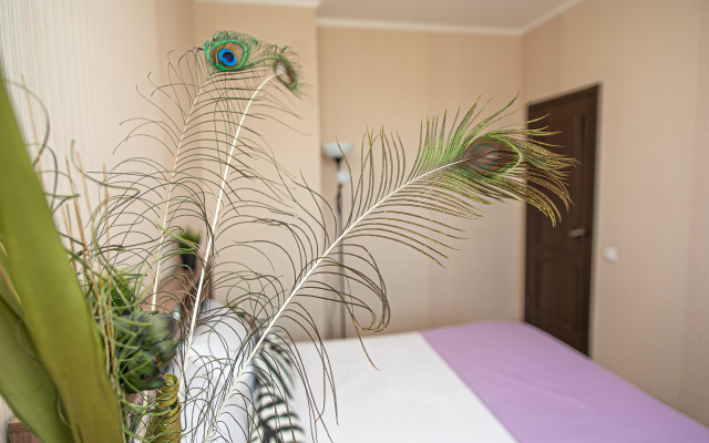 Апартаменты Комета