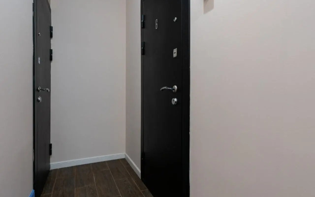Na Lotsmanskoy 20 Apartment