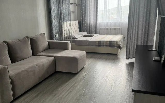 Апартаменты на Бибика 24 с видом на горы