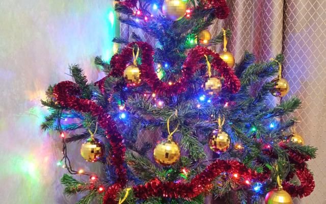 Квартира на Александровской