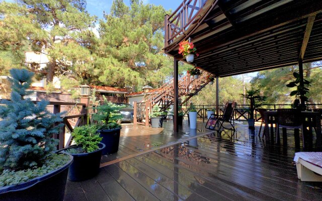 Sosnovyij Raj Villa