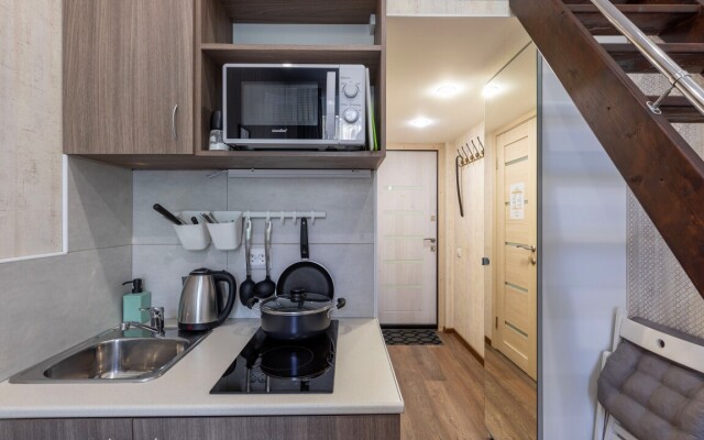 Apartamenty Na Syezzhinskoy (1)