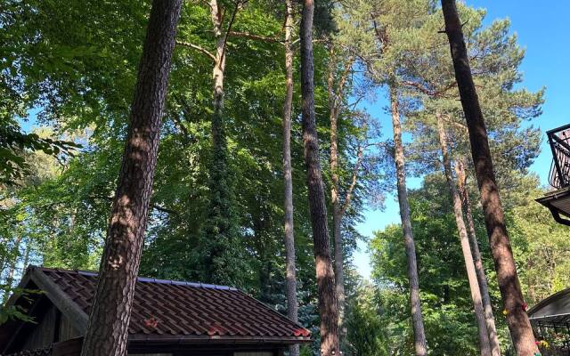 Дом Семь сосен