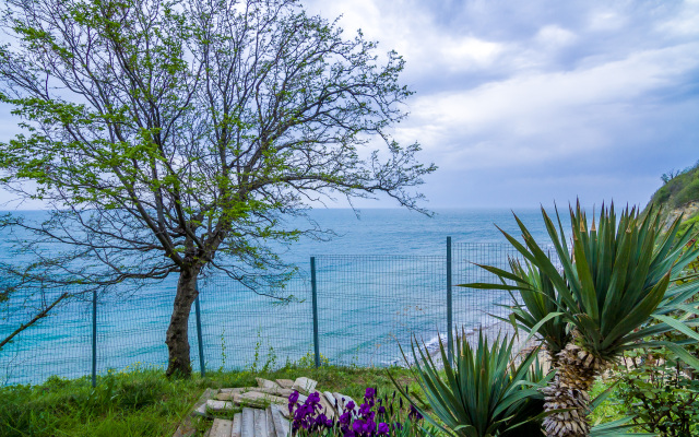 Villa Agria Mini Hotel