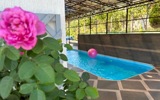 Deltaplan Guests House