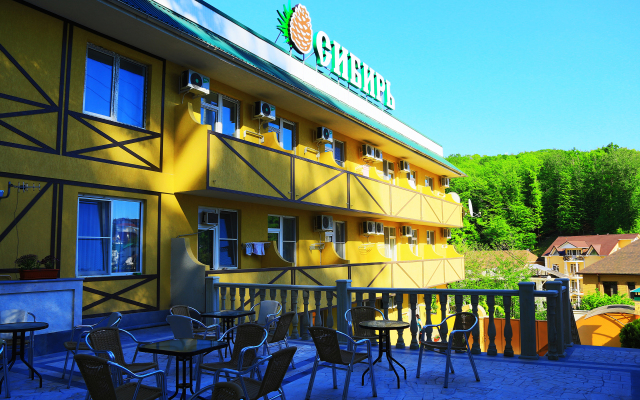 Sibir' guest house
