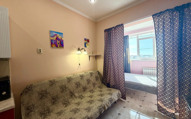 Апартаменты Уютная студия с кроватью и диваном