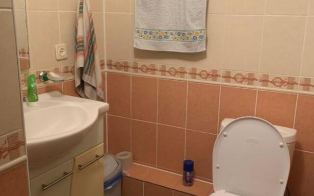 Частный дом на берегу речки Каменка