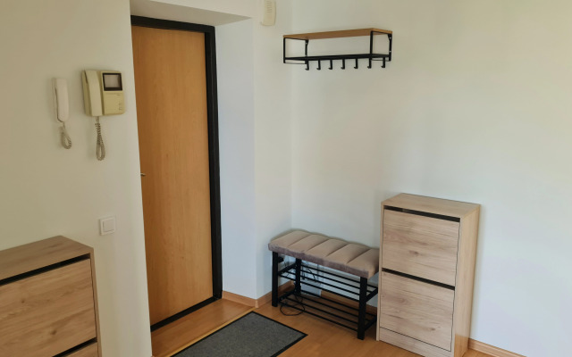 Prostornaya Tryoshka Blizko K Tsentru Flat