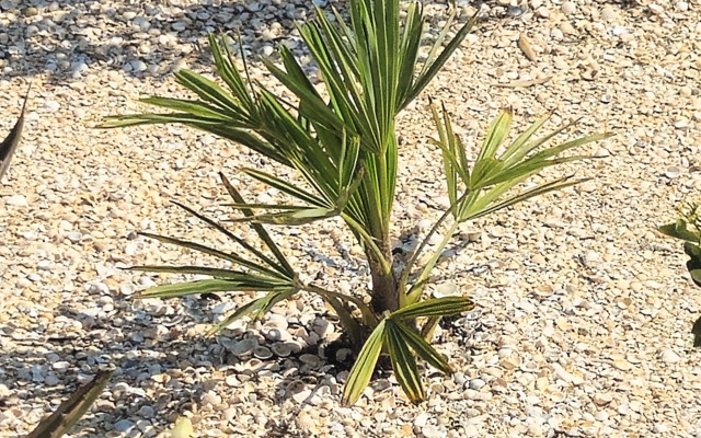 Апартаменты Holiday Home at Frunze