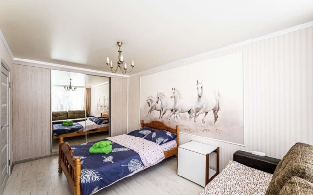 Tsentralnaya 6/2 Apartments