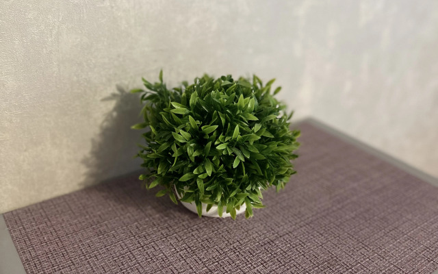 Квартира Уютная студия в новом ЖК Адмирал