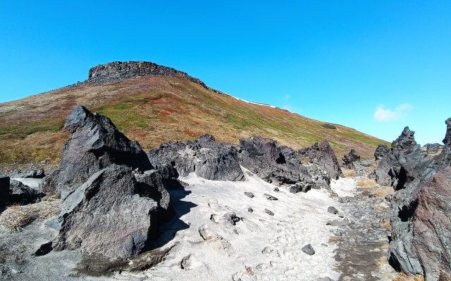 Cottages Goryachaya Sopka