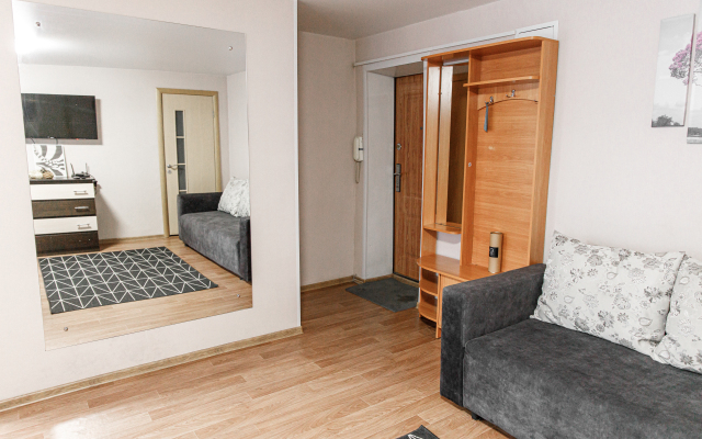 Апартаменты Двухкомнатные в центре города на Красноармейская 124