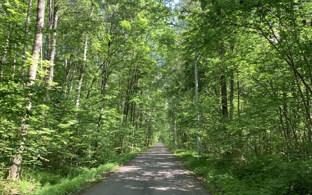 Частный дом Дом у леса