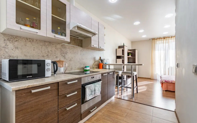 Uyutnaya Studiya Flat