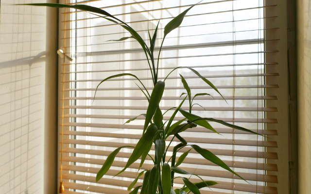 Апартаменты c Балконом Два Ангела