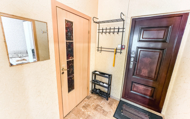 Uyutnaya Kvartira Vozle Sheremetyevo Apartments