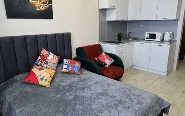 Квартира на Богомягкова 2к3