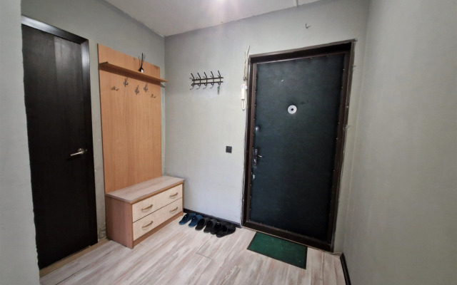 V Ivanteevke Na Ul. Berezhok Apartments