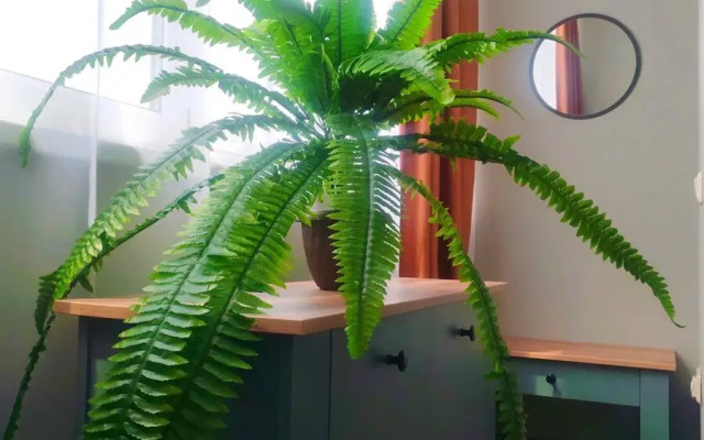 Na Prospekte Okeanskiy 54 Flat