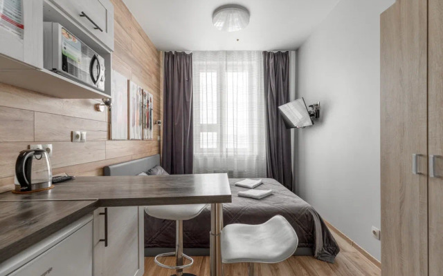 Апартаменты Букинист 233/1