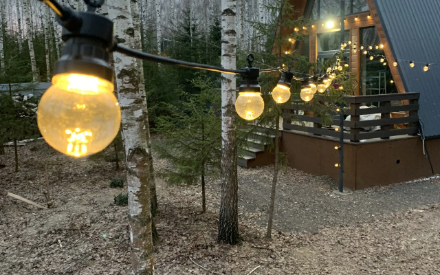 Частный дом A-фрейм в лесу Зеленого города