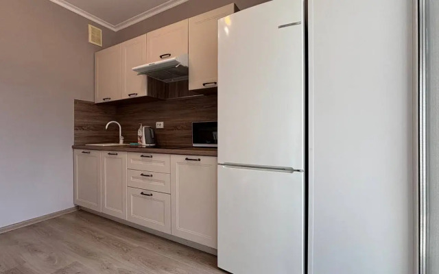 Comfort Plus v ZHK Tsentralniy Apartments