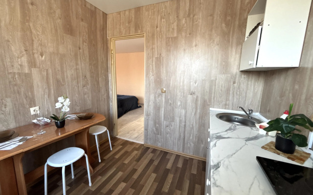Dvuhkomnatnaya Kvartira Ekonom-klassa Apartments