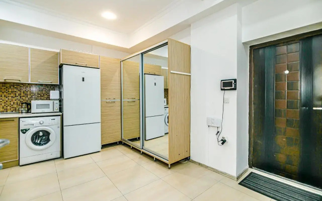 VIP Designed in Nizami Street Apartments
