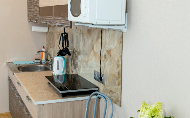 V Staroy Kupavne Studio apartment