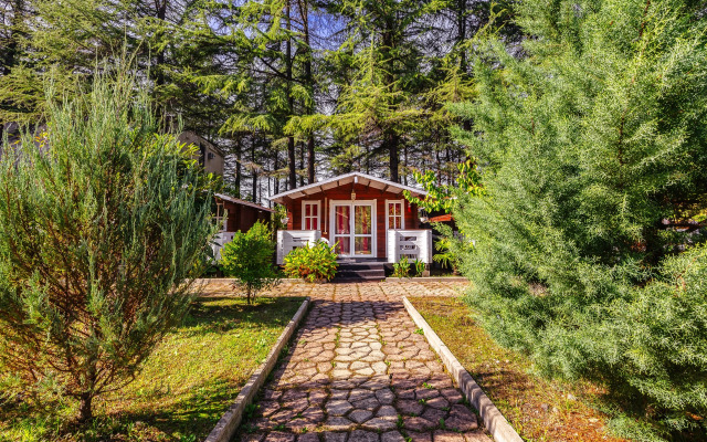 Hotel Eco House Pitiunt Resort